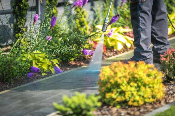 Best Gutter Cleaning  in San Castle, FL
